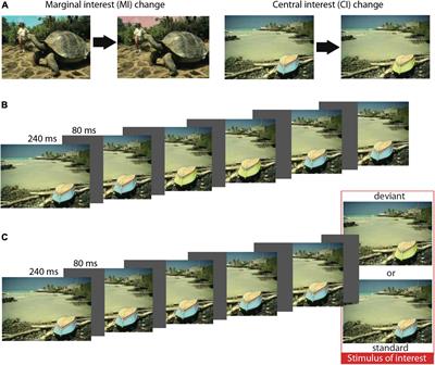 Automatic change detection: Mismatch negativity and the now-classic Rensink, O’Reagan, and Clark (1997) stimuli